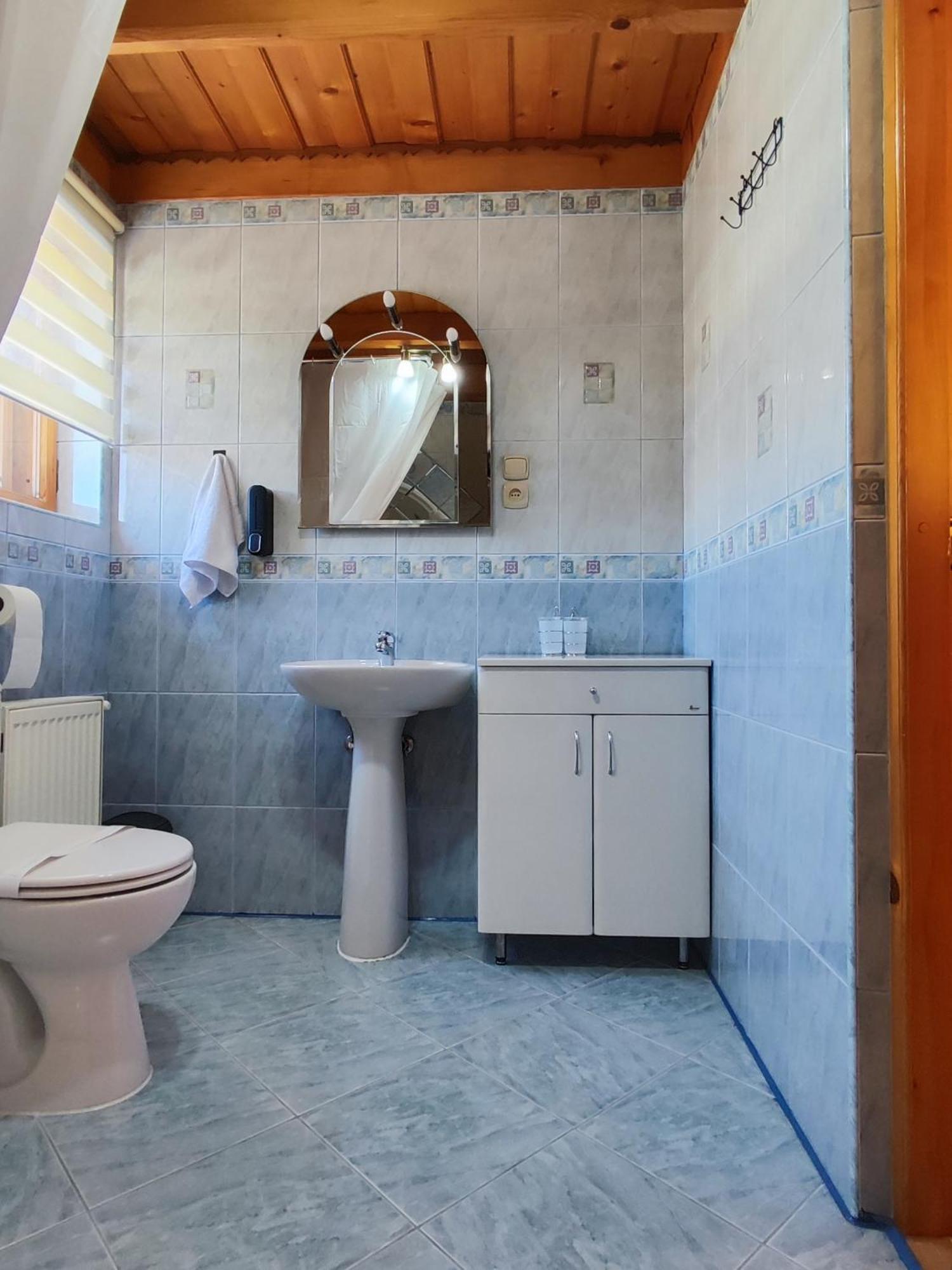 Apartamenty Sosna ザコパネ エクステリア 写真